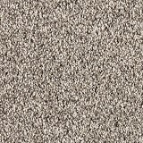 Mohawk Carpet
Luxuriant Space